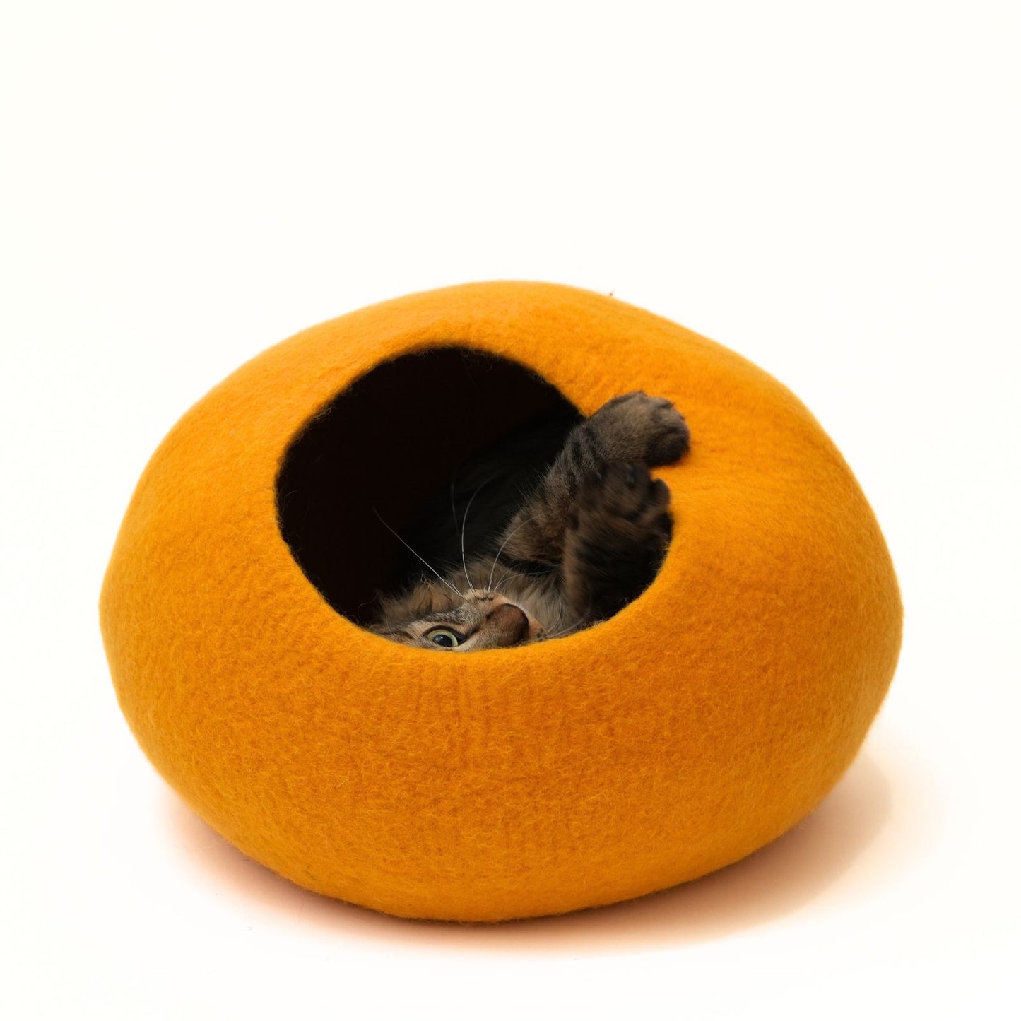 CAT DOME - YELLOW ORANGE