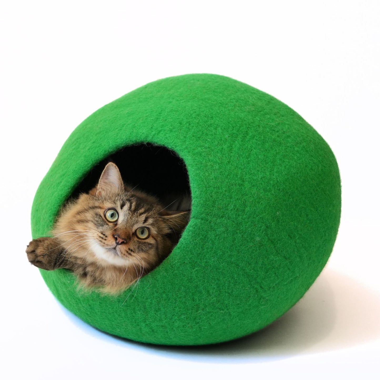 CAT DOME - GREEN