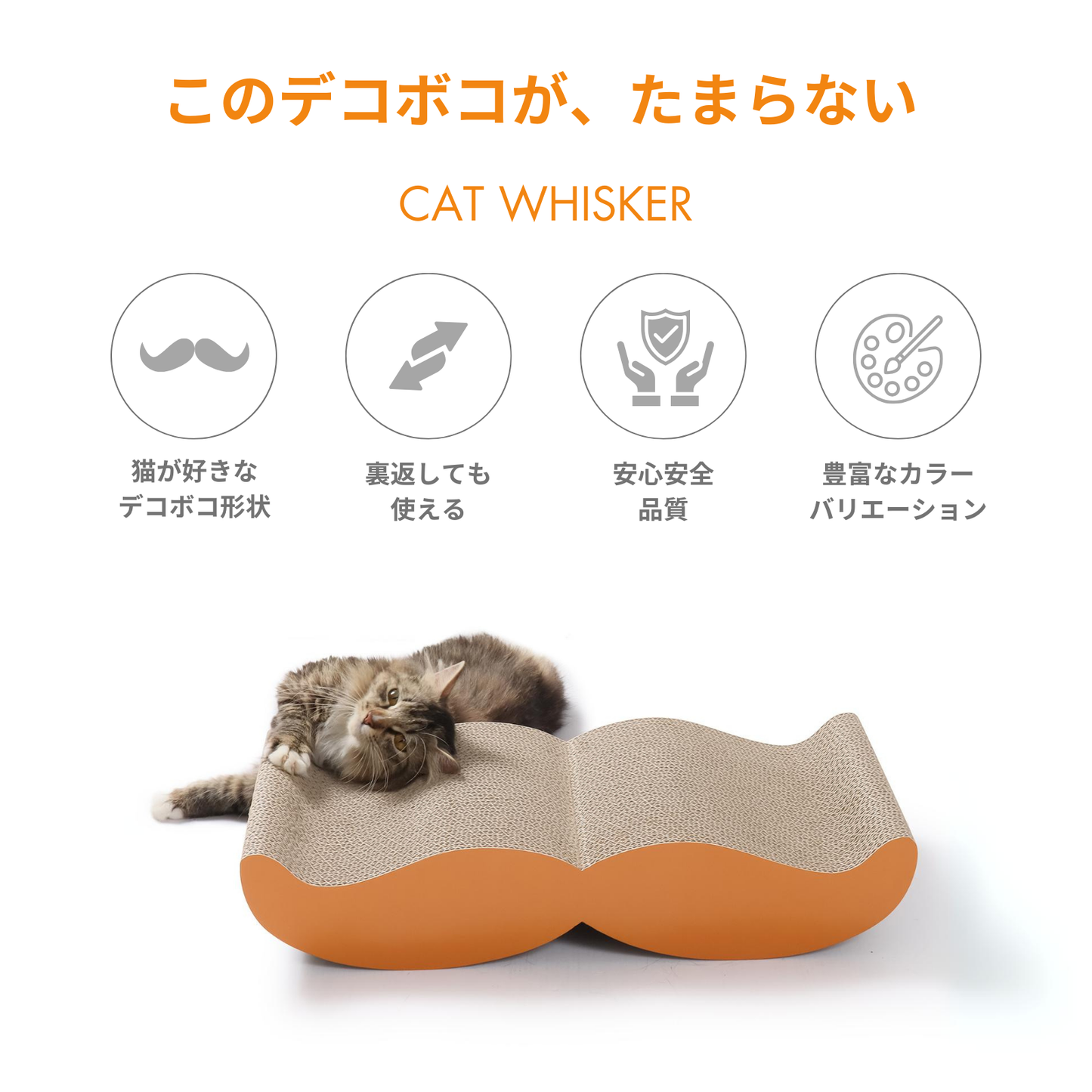 CAT WHISKER - ORANGE