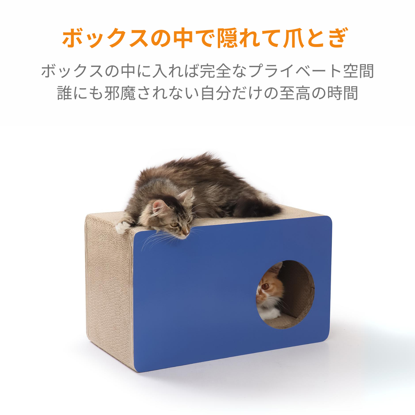 CAT BOX - WHITE