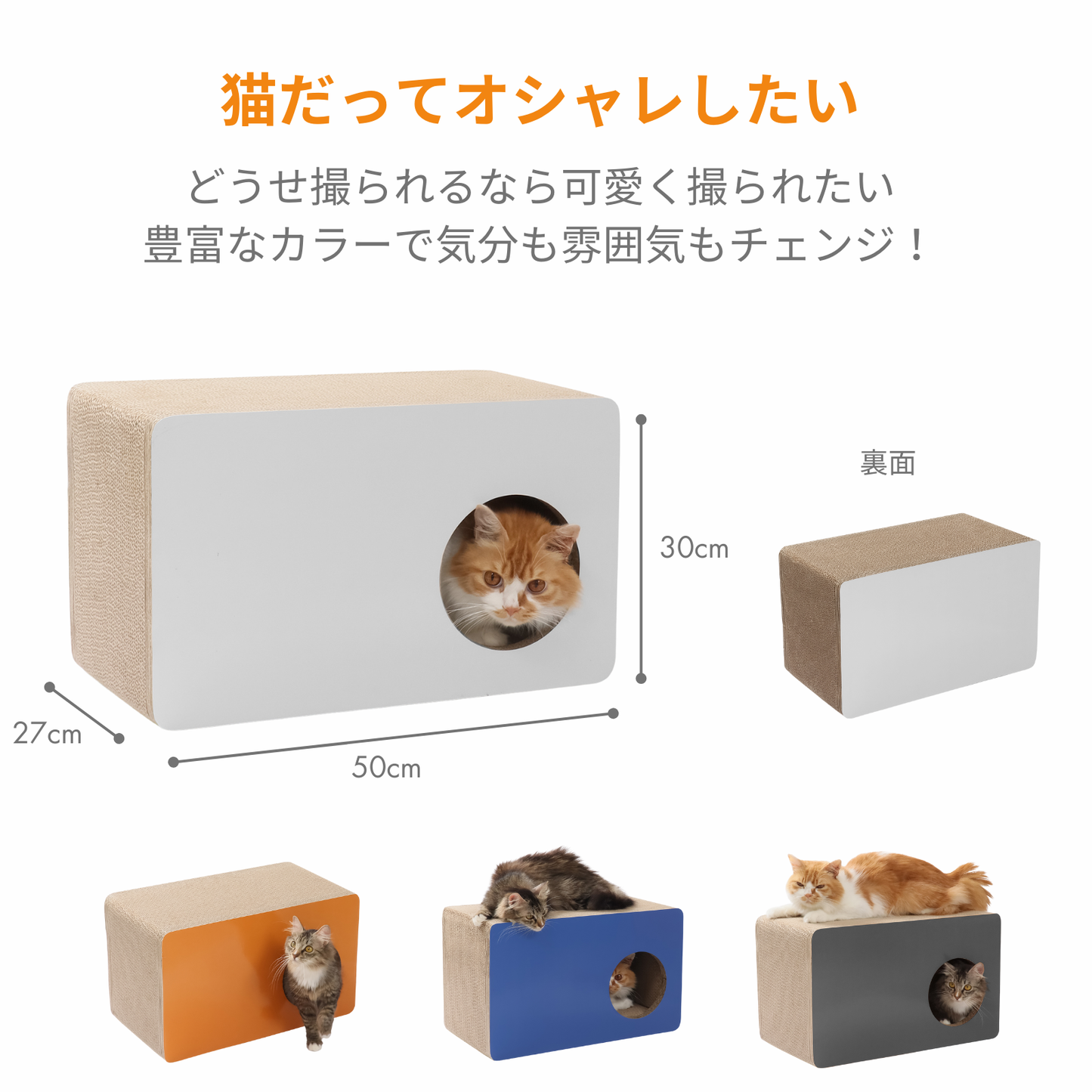 CAT BOX - BLUE