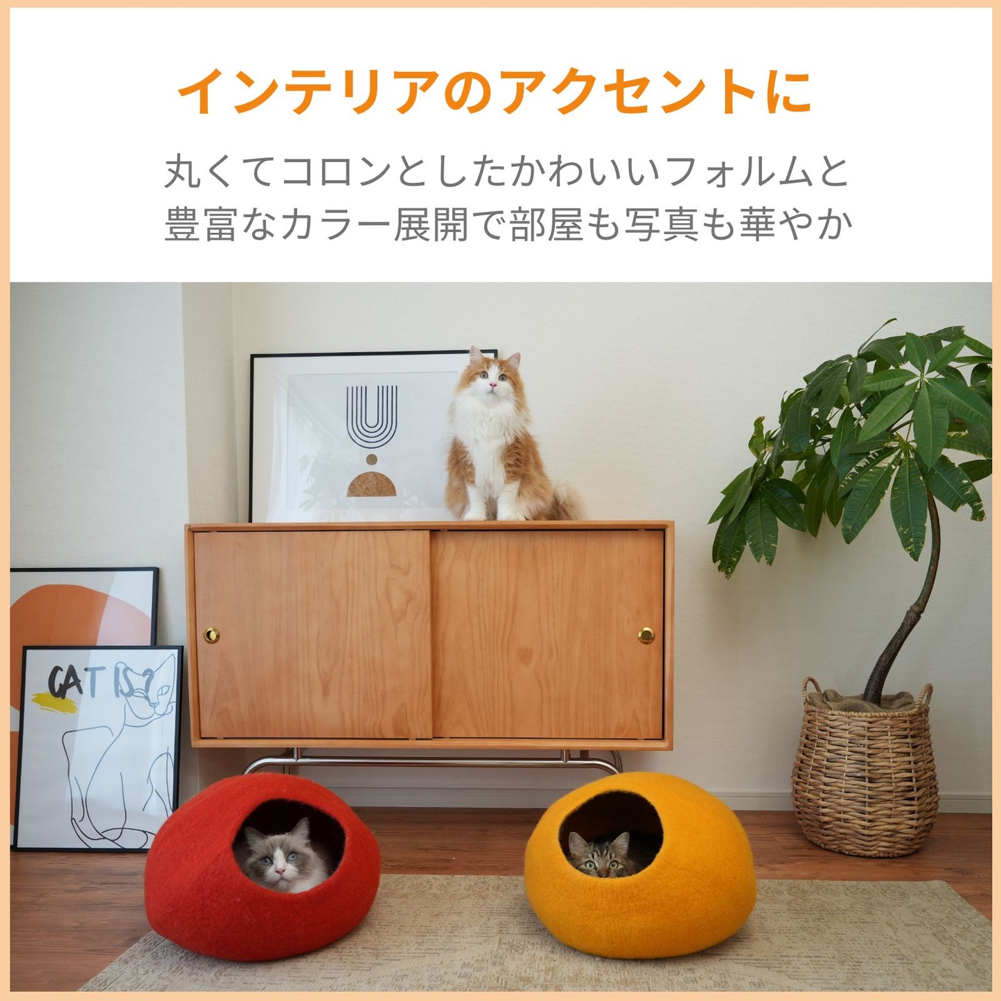 CAT DOME - RED