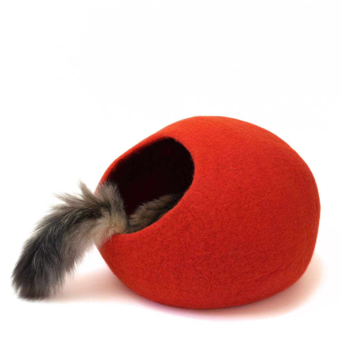 CAT DOME - RED