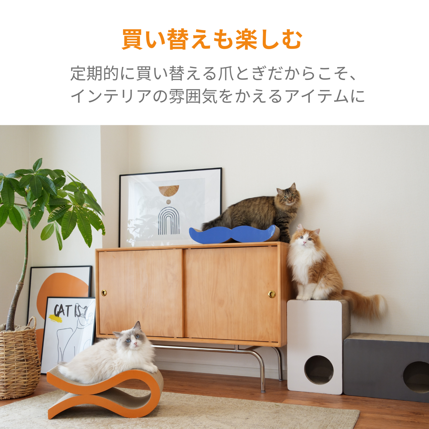 CAT BOX - DARK GRAY