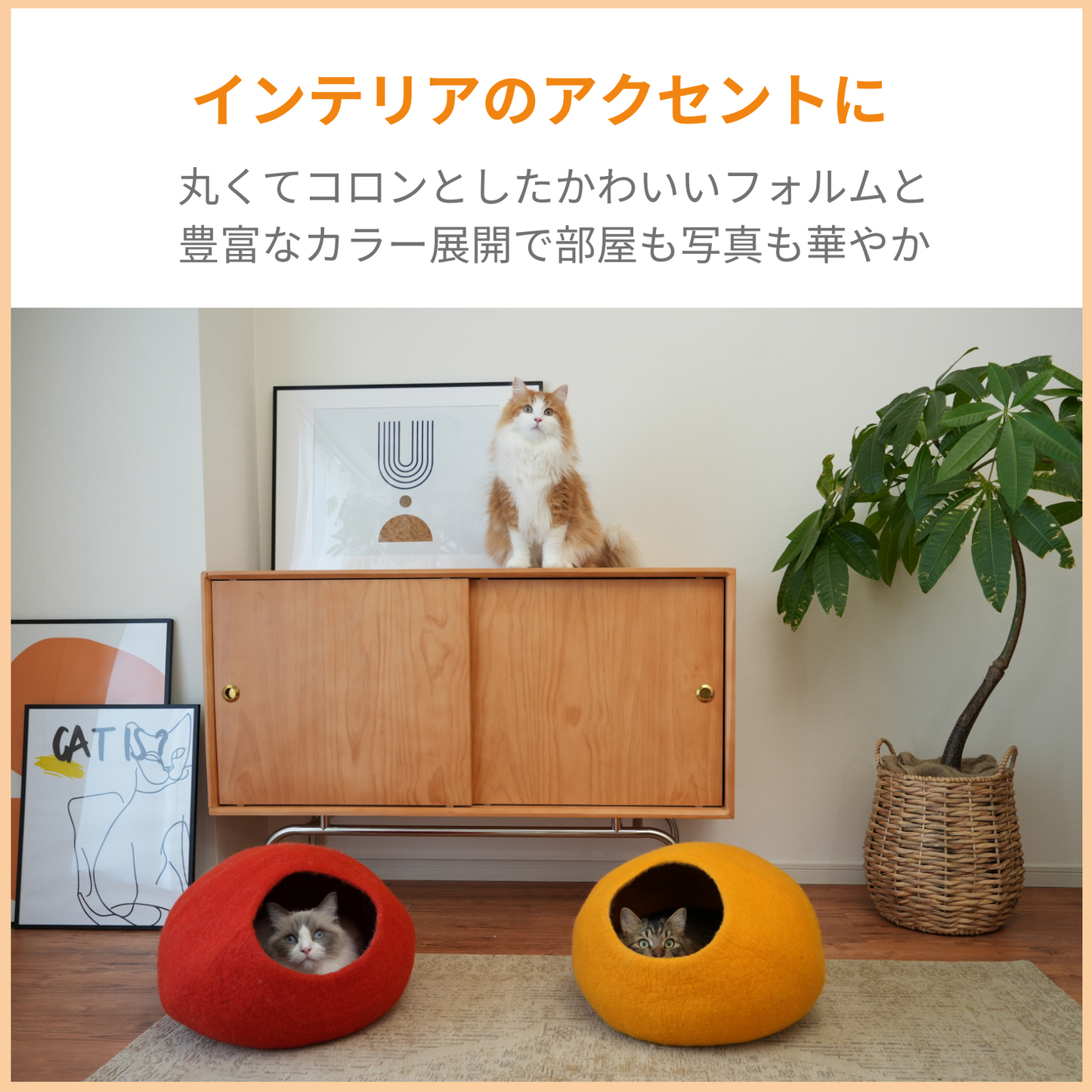 CAT DOME - RED