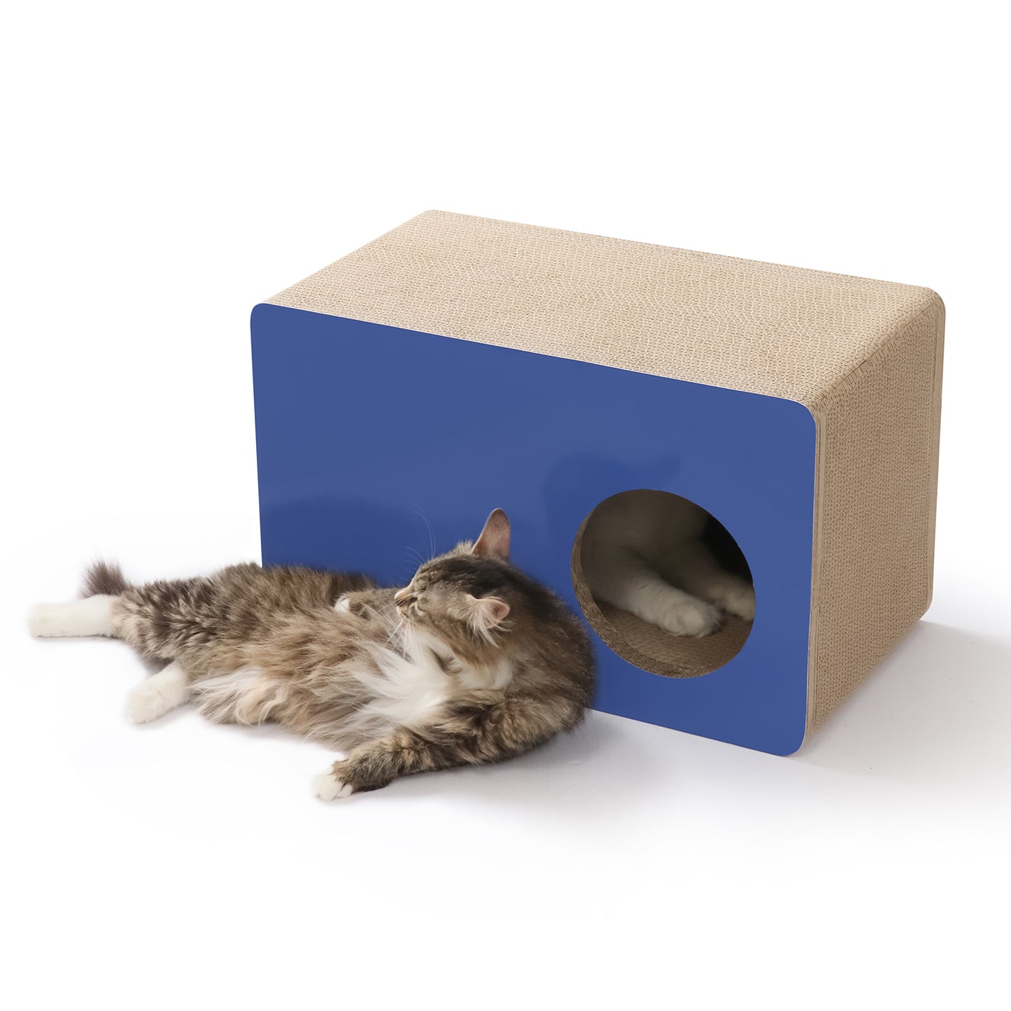 CAT BOX - BLUE