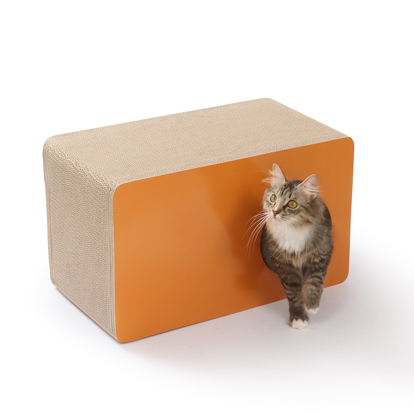 CAT BOX - ORANGE